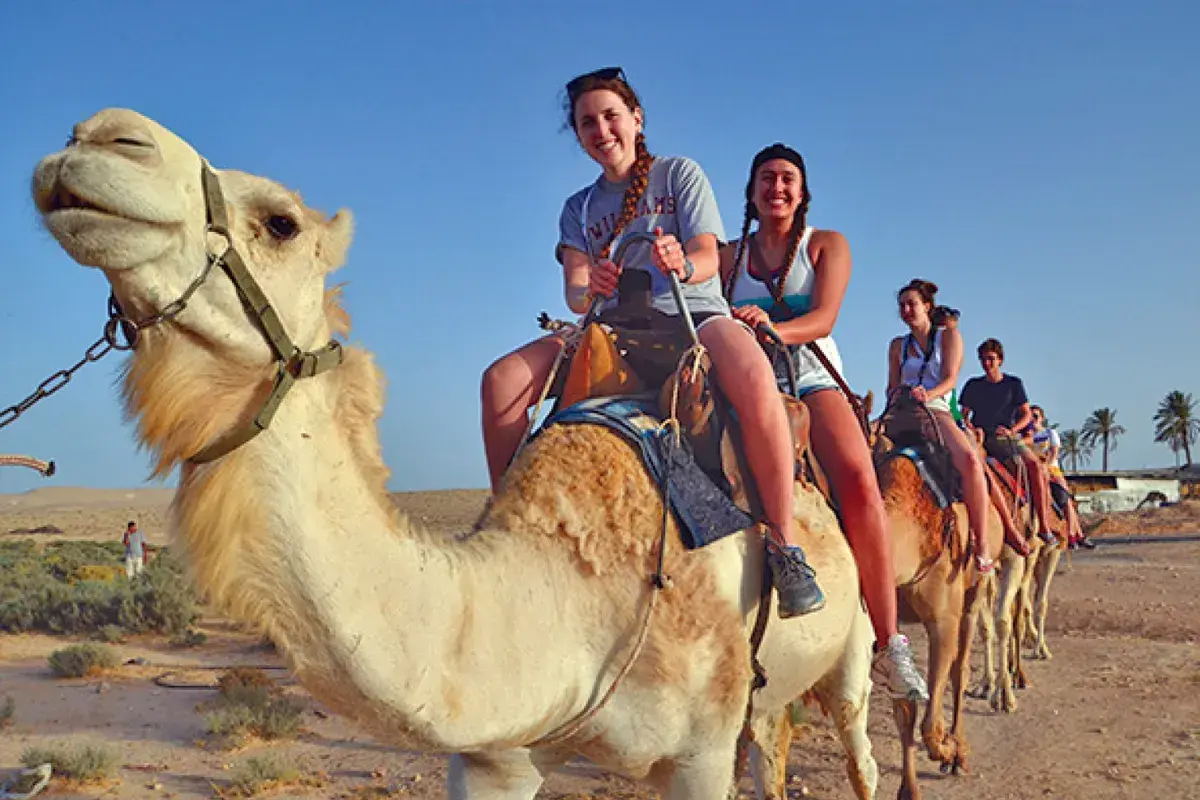 Israel teen travel boston: teens riding camels in the desert during an Israel travel program, highlighting adventure, cultural experiences, and outdoor exploration.